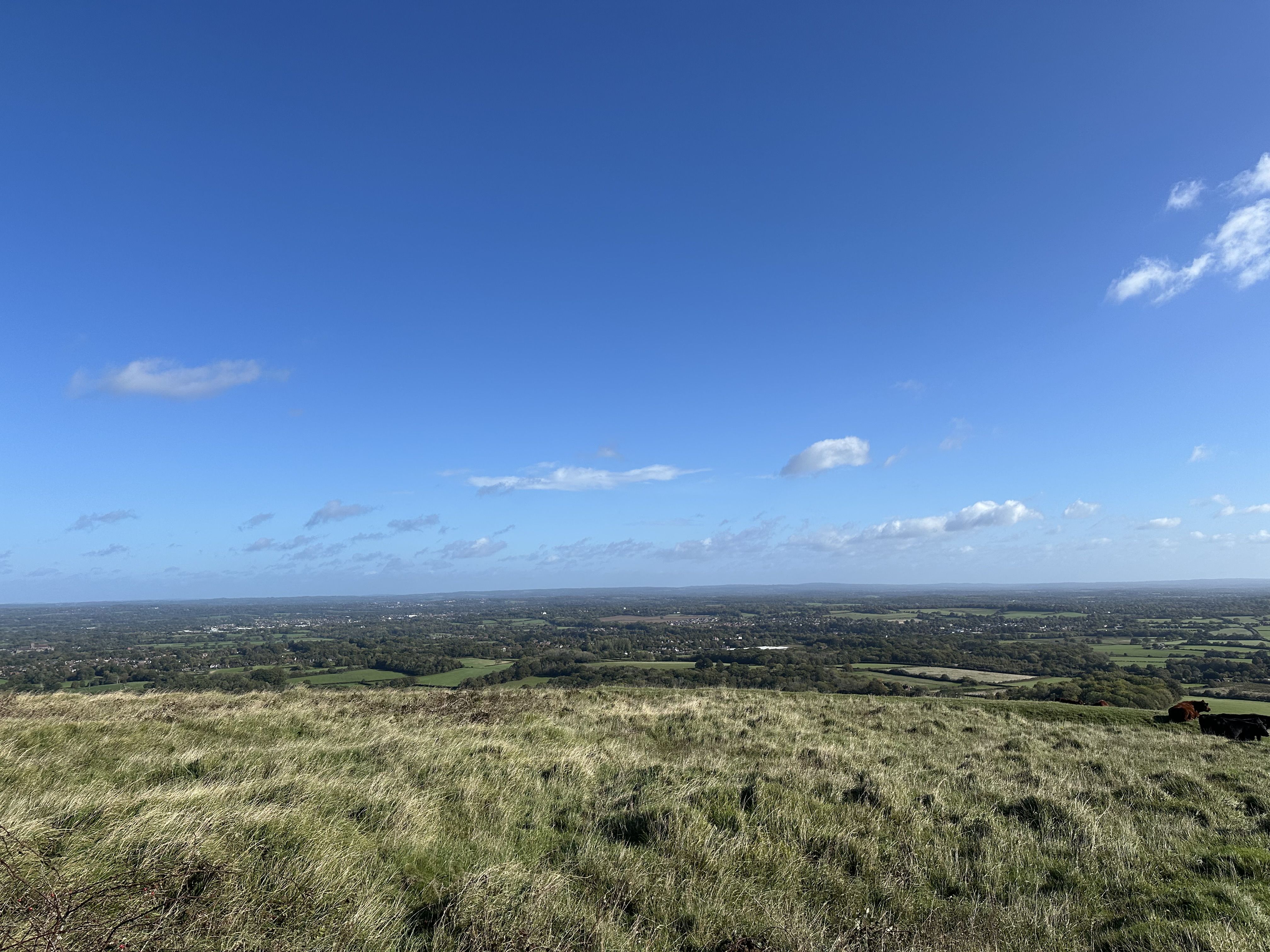 Photo of hill in the Downs somewhere, I'm afraid I can't remember exactly where but a few over from Devil's Dyke