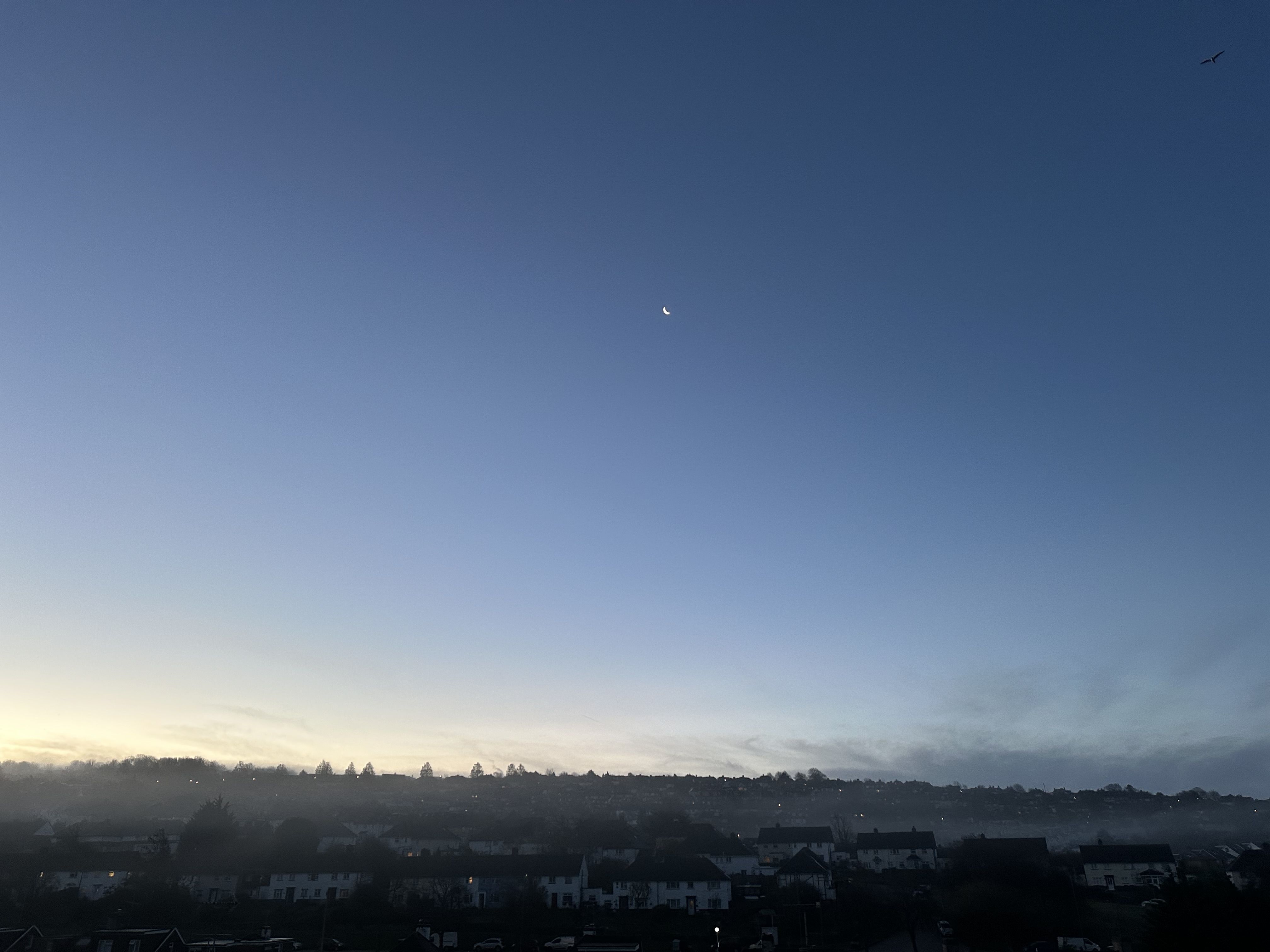 Photo of a misty morning in Patcham