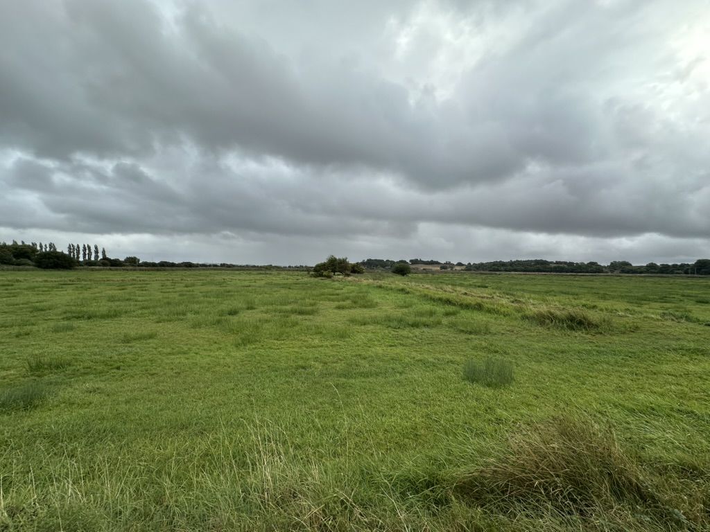 Photo of a cloudy sky above a floodplain