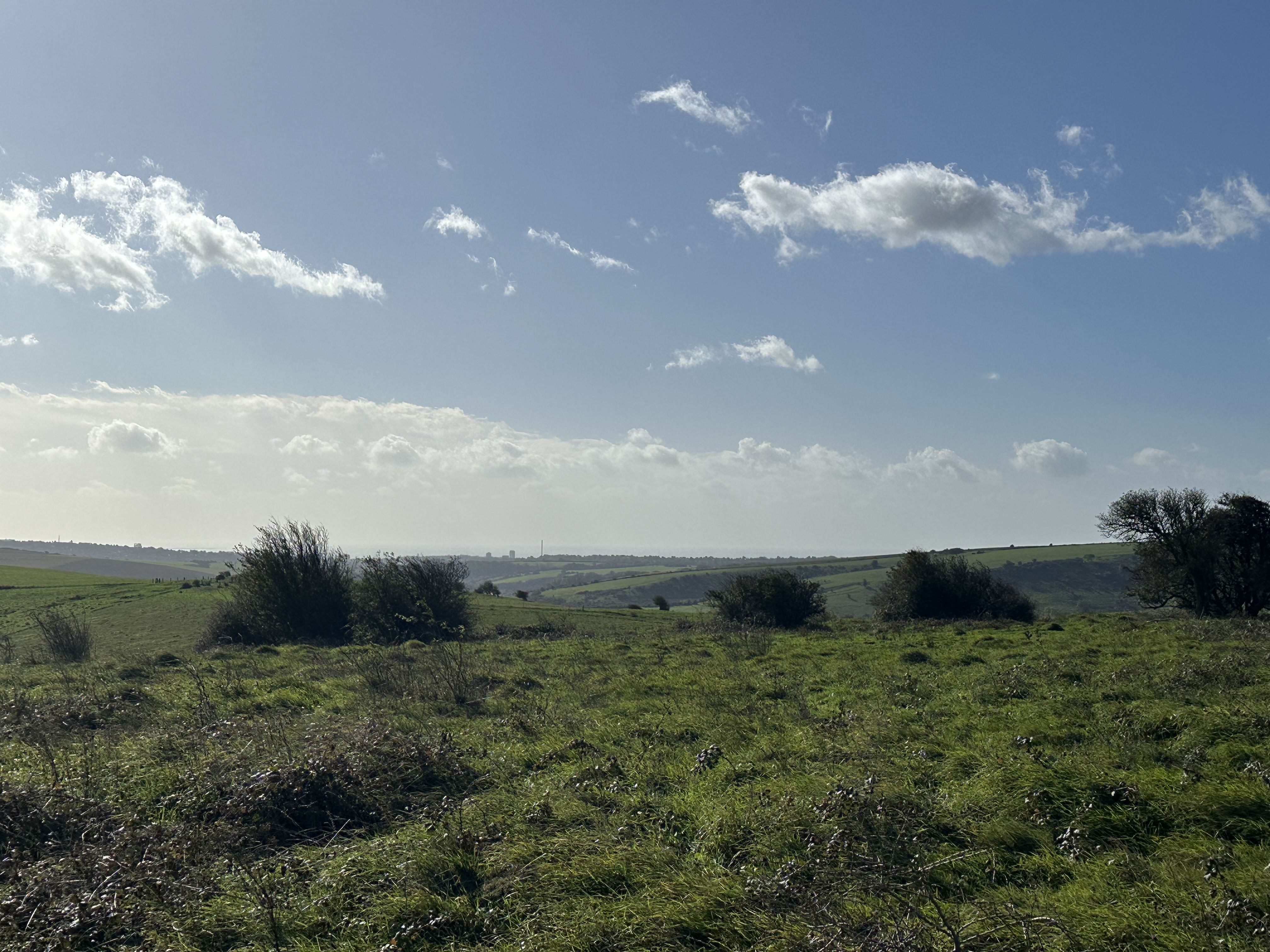 Photo of Brighton from the downs
